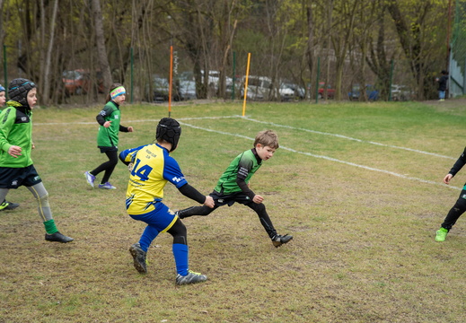 U8